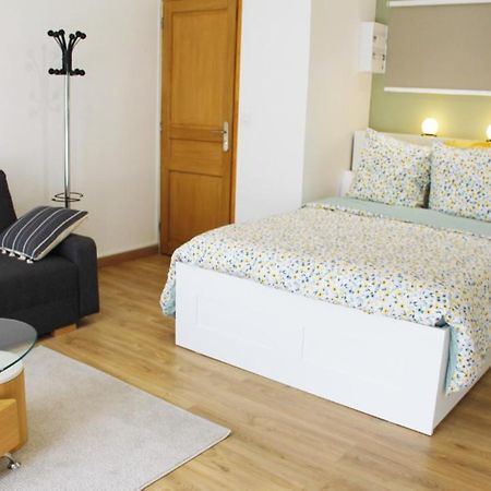 Saint Etienne : Appartement Chateaucreux 40 M2 Екстер'єр фото