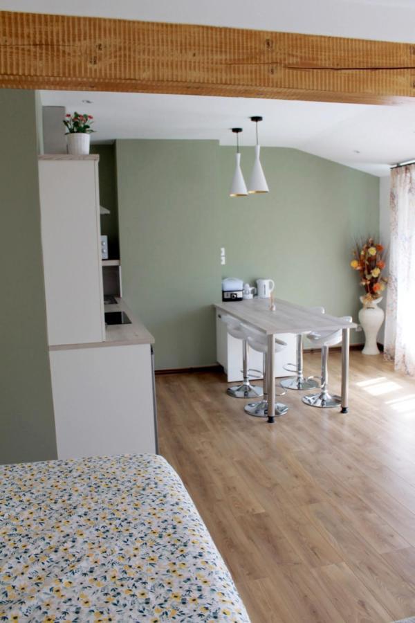 Saint Etienne : Appartement Chateaucreux 40 M2 Екстер'єр фото