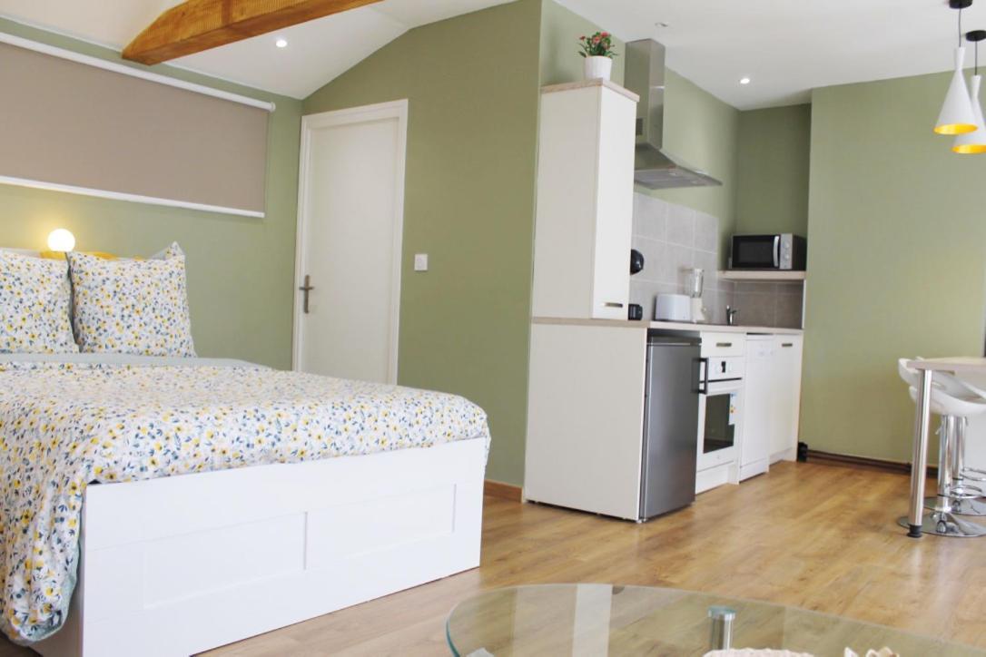 Saint Etienne : Appartement Chateaucreux 40 M2 Екстер'єр фото