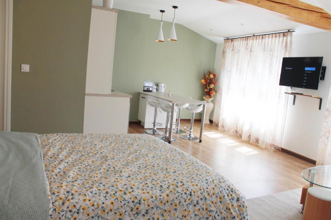 Saint Etienne : Appartement Chateaucreux 40 M2 Екстер'єр фото