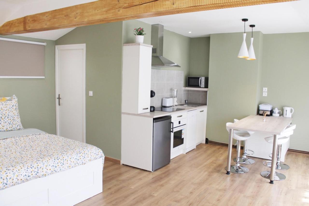 Saint Etienne : Appartement Chateaucreux 40 M2 Екстер'єр фото
