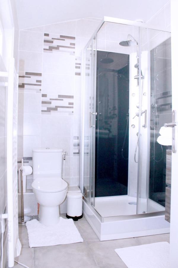 Saint Etienne : Appartement Chateaucreux 40 M2 Екстер'єр фото